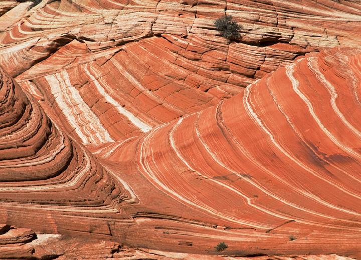 Coyote Buttes North  5391.jpg